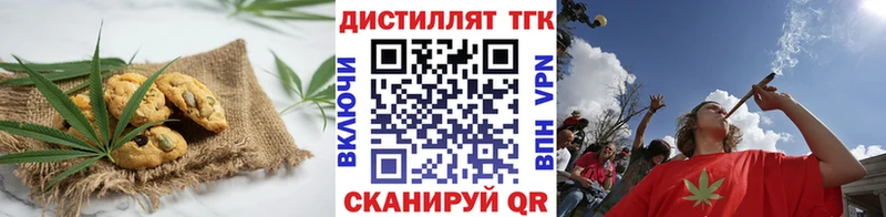 закладки  Оса  Cannafood конопля 