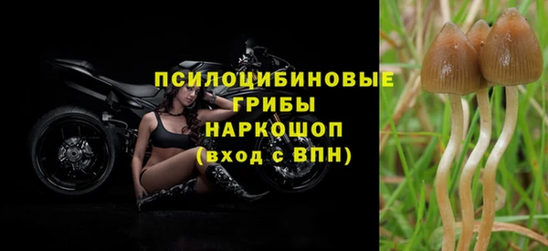 бутират Медногорск