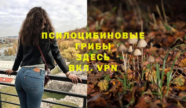 марки lsd Медвежьегорск