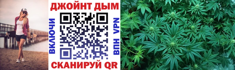 Конопля сатива Оса
