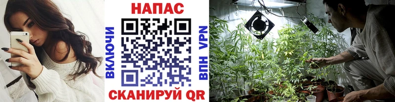 Шишки марихуана SATIVA & INDICA  даркнет какой сайт  Оса  хочу  